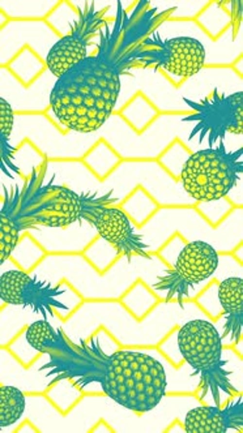 Ananas im Vintage-Stil 03