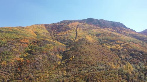 Vue aérienne des collines avec des arbres colorés en automne