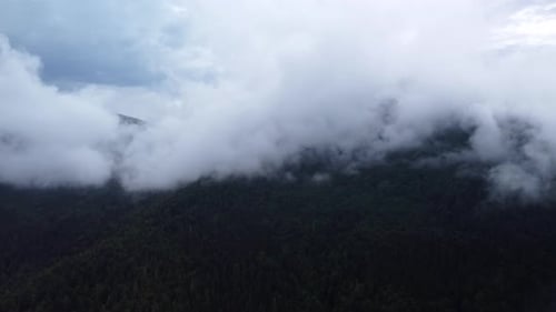 A Flight From Mountain Meadows Over Green Forests Under a Misty Mountain After Rain