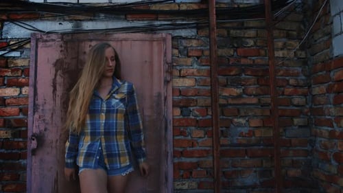 The Woman Standing At The Broken Wall