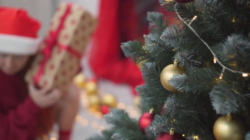 Woman Holding Christmas Gift by Decorated Tree