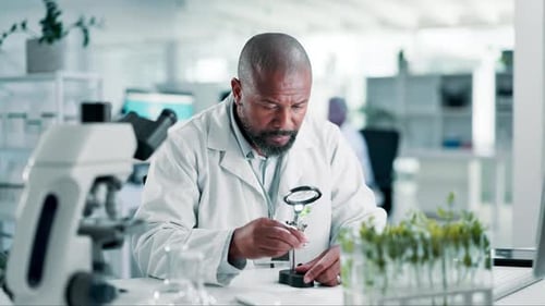 Scientist Examining Plant Specimen in Bright Lab