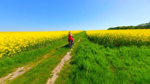 Woman Riding Vintage Motorcycle in the Countryside Through Yellow Fields