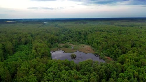 Wilder Waldsee. Luftbild des Sees mitten im Wald