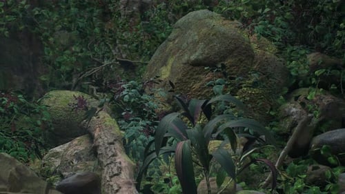 Lush Forest Environment with Rocks and Moving Vines Background