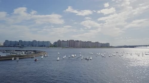 Yachten segeln in einer Stadtbucht neben einer Brücke und Sommersonne, weiße Wellen auf einem Wasser