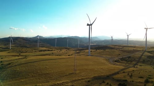 Wind Tribunes and Spectacular Nature Scenes