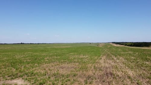 Blue Tractor O.A. Planting Canola On No Till Field