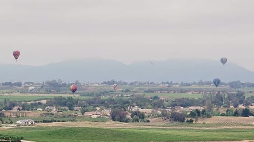 Scenic Balloons Floating over Rural Landscape