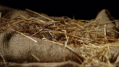 A macro shot of a manger with hay and burlap.