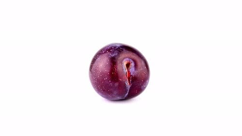 Fresh Plum Rotating on White Background