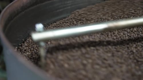 Industrial Drum Turning a Batch of Roasted Beans