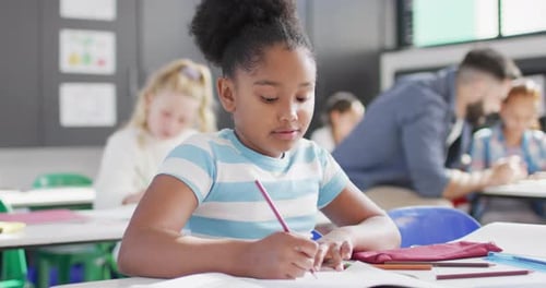 Portrait of african american schoolgirl with diverse schoolchildren in school classroom