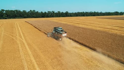Luftaufnahme einer landwirtschaftlichen Maschine, die während der Erntezeit reife Pflanzen auf dem Goldenen Feld erntet
