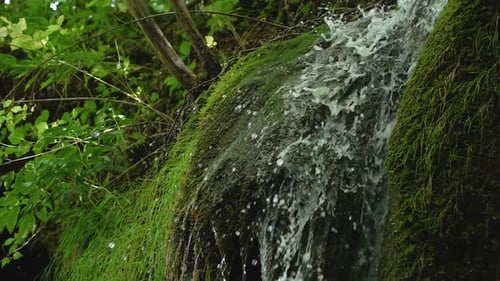 Beautiful slow motion shot of small forest river splashing over cascade of rocks covered with moss.