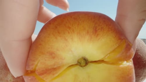 Peaches on the table, divided into halves, against the blue sky. Dolly slider extreme close-up.