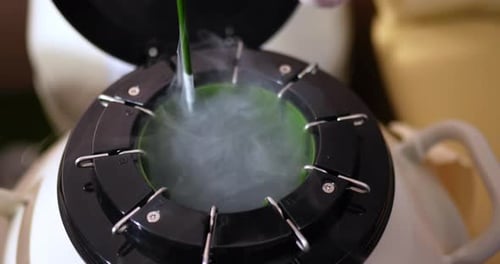 Überprüfen Sie den flüssigen Stickstoff im temperaturgesteuerten Tank und sammeln Sie tierisches Sperma