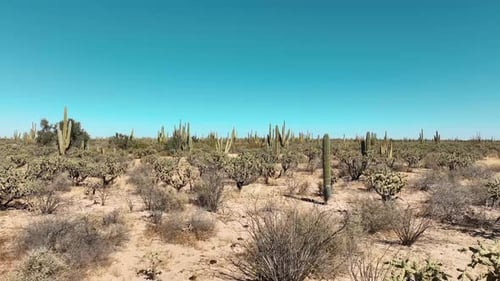 Vídeo impressionante de um voo de drone muito baixo pela paisagem panorâmica