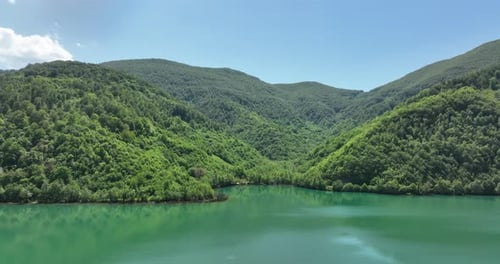 A green mountain lake in the middle of a dense forest in spring. Aerial nature shot.