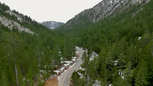 Carretera asfaltada sinuosa entre majestuosos árboles y paisajes de alta montaña en primavera, vista aérea