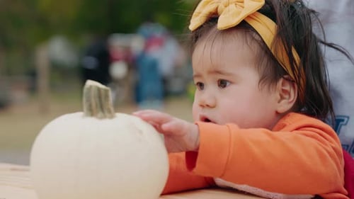 Curious Baby Playing with White Pumpkin on Table