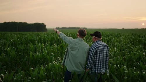 Farmers Viewing Crops in Field at Sunset