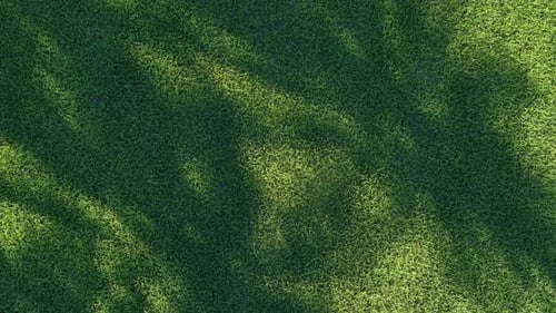Aerial Paddy Field Natural Shadow Patterns Over Rice Crops