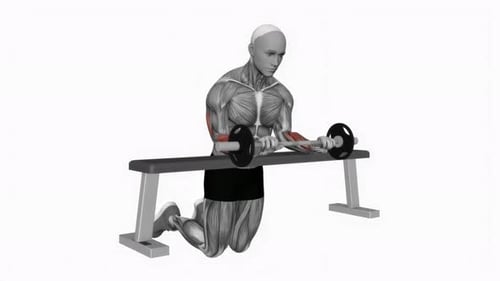 Anatomical Wrist Curl Barbell Exercise Animation
