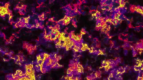 Epileptic Neural Activity Loop