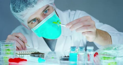 A scientist in a laboratory analyzes the soil and the plants inside to collect the plant DNA. Conc