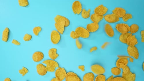 Corn Flakes Falling on a Light Blue Background