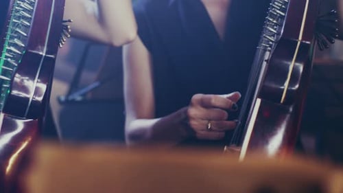 Kobza ukrainian stringed musical instrument close up of orchestra playing bandura