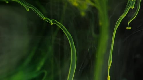 Je veux être l'une de ces guêpes jaunes. Ils recherchent la paix avec eux-mêmes, un Abstra entièrement naturel