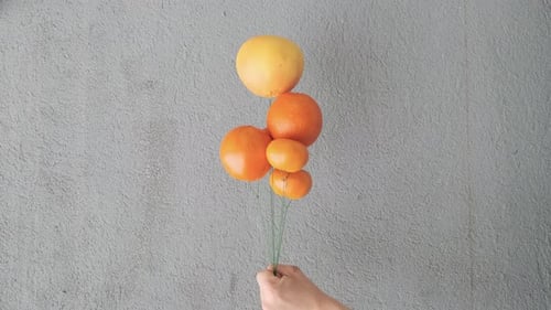 Citrus Fruits Arranged as Balloon Bouquet on Grey