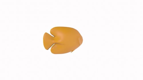 Modern 3D Animated Swimming Fish Loop