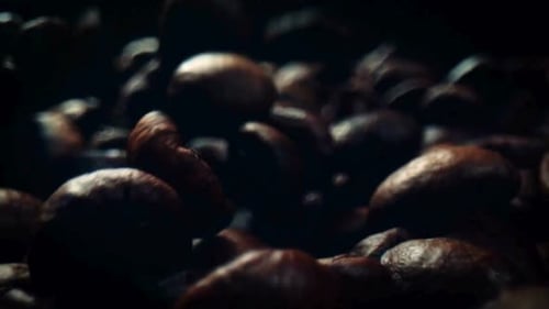 Kaffeebohnen, Kaffee