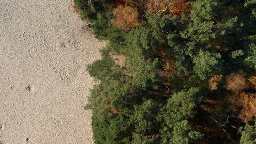 Top Down View Of Colorful Autumn Forest At Soesterduinen Nature Reserve In The Netherlands - aerial