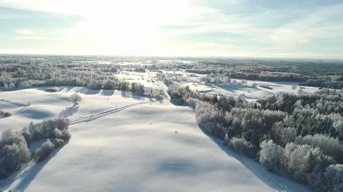 Drone flight over a path surrounded by forests and snow-covered fields on a clear winter's day