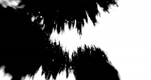 L'encre noire se répand sur une surface blanche