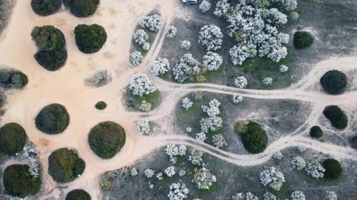 Aerial top down of muddy landscape with path in Portugal - landing shot