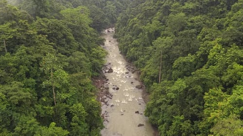 Drone perspective flying along a winding, muddy river through a deep canyon surrounded by lush,