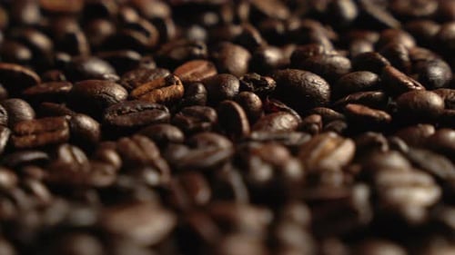 Roasted Coffee Beans Close Up Macro View