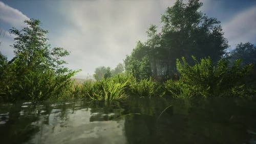 Lake in Forest Landscape