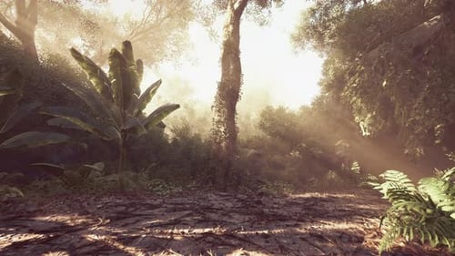 Cinematic Forest Path with Golden Sunbeams and Misty Atmosphere