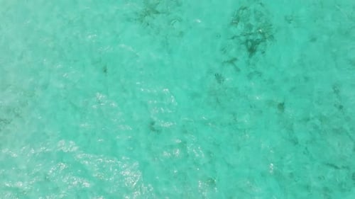 Sea Water Surface in Lagoon