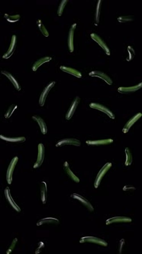Falling Green Cucumbers Vertical Loop on Black