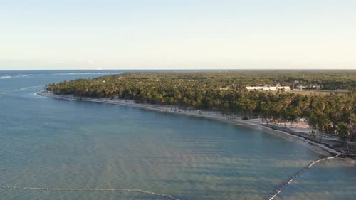 Tropical Coastline with Palm Trees and Sandy Beach