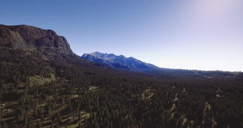 Scenic Mountain Landscape with Vast Forest Under Clear Blue Skies