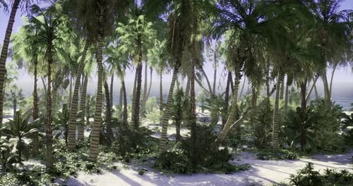 Lush Tropical Landscape By the Ocean with Palm Trees and Sandy Beach