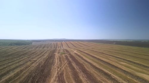 Tractor working on the field doing tillage with cultivator